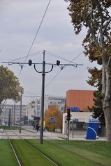 Cliquez sur la vignette pour l'agrandir